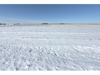 Property photo 56 - OHIO REAL ESTATE AUCTION - 202+/- ACRES IN 3 TRACTS IN VAN WERT COUNTY, OHIO